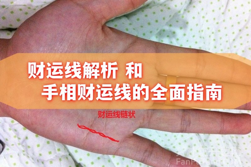  《财运线解析和手相财运线的全面指南》