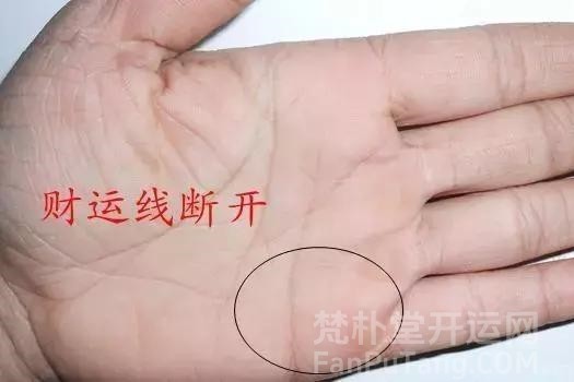  财运线解析和手相财运线的全面指南