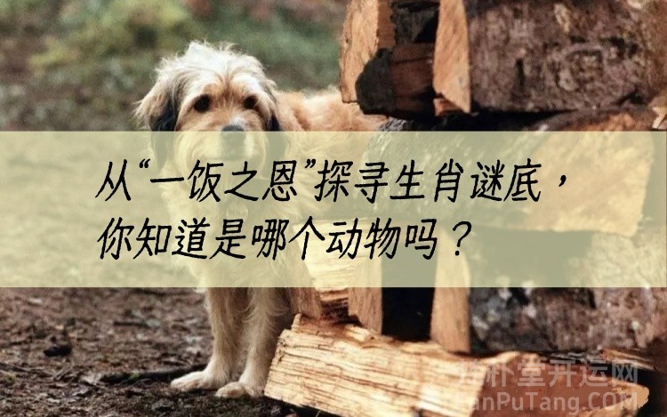 b型血女人的性格特点 B型血女生性格解析