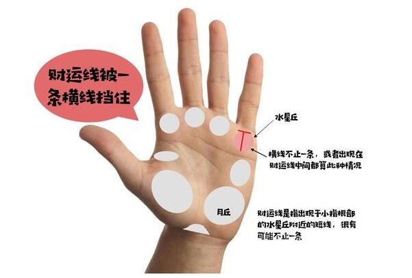 ef2a7e5675db9dff76399f5d8f2eb0f8_98e5a37bd61259a1fadc7fca07e14d54.jpg