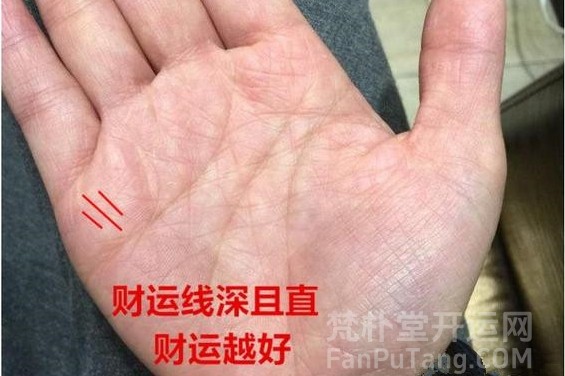  财运线解析和手相财运线的全面指南