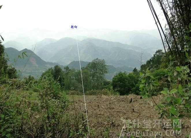 探秘昆明：那些被传得神乎其神的风水先生是真是假？
