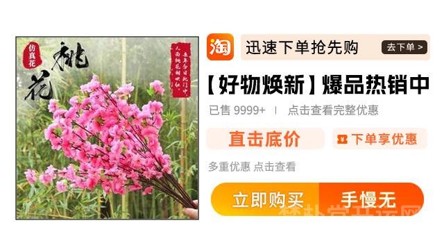 提升事业运的民间方法，助你职场突飞猛进